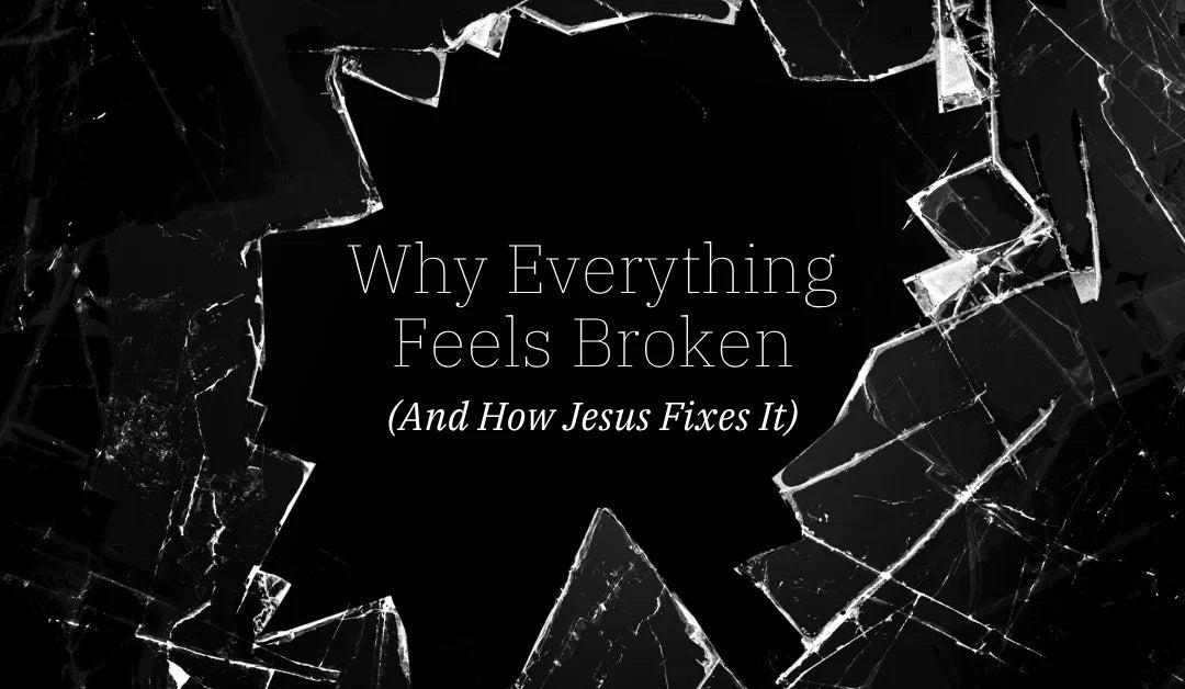 Why Everything Feels Broken
